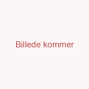 Nye fund i Jelling