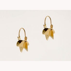 Afrikanske fulani reringe