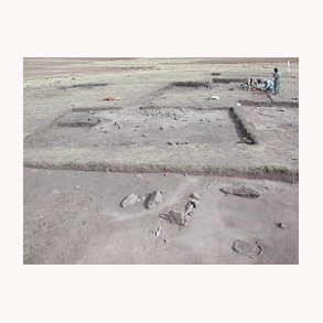 Den Sociale Struktur