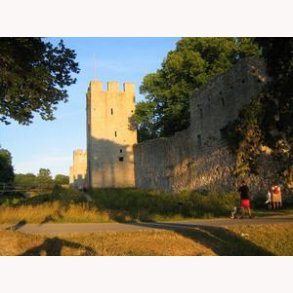 Tidlig Middelalder 800 - 1200